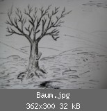 Baum.jpg